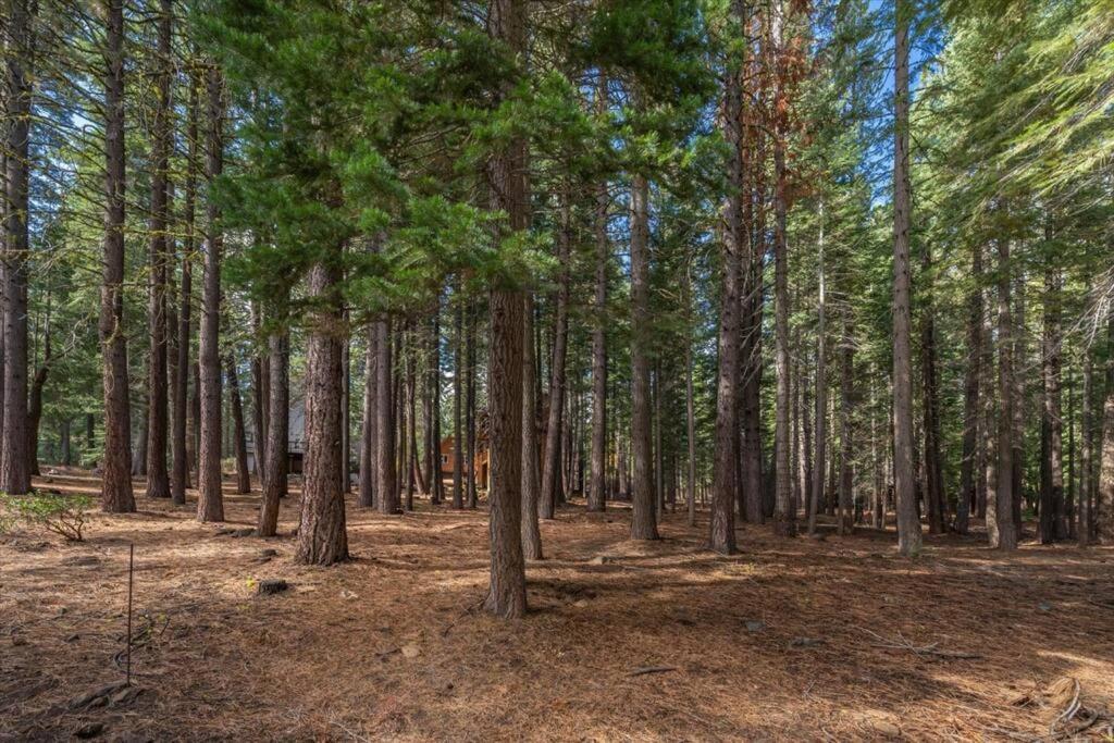 3Br Tahoe Donner Cabin With Hoa Perks Like Pools Hot-Tub Minutes To Trails Lake Golf Truckee Ngoại thất bức ảnh